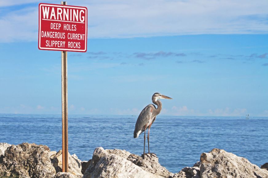 Bird and warning deep holes signboard