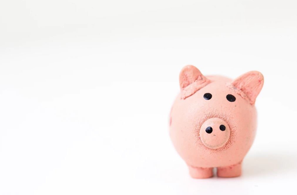 Small piggy bank in white background